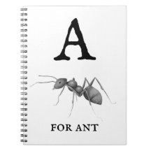 "A" pour Ant