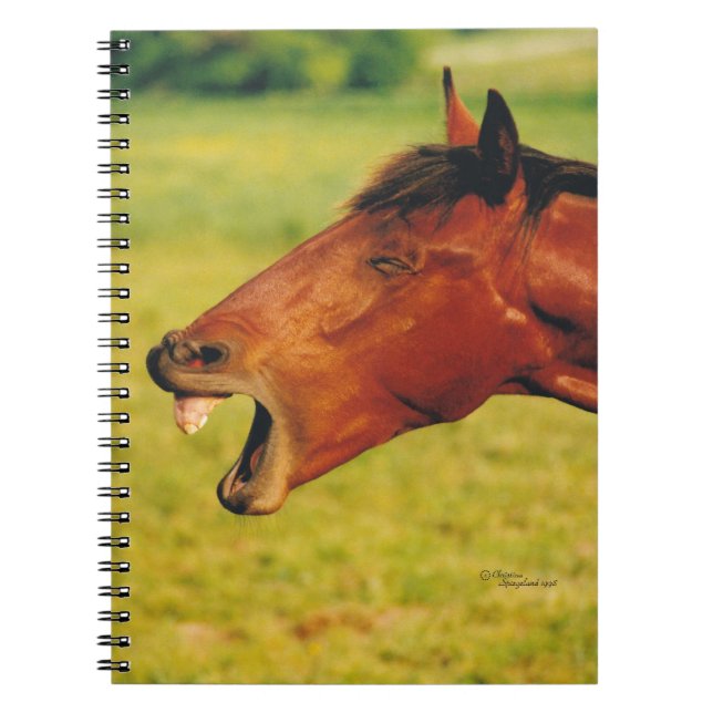 Carnet à rire (Devant)