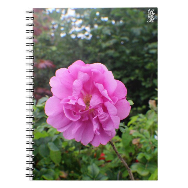 Carnet A Single Pink Flower (Devant)