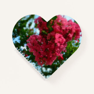 Carnet à spirales en forme de cœur