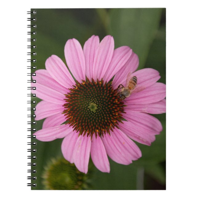 Carnet Abeille à Miel sur Fleur en Cône (Devant)
