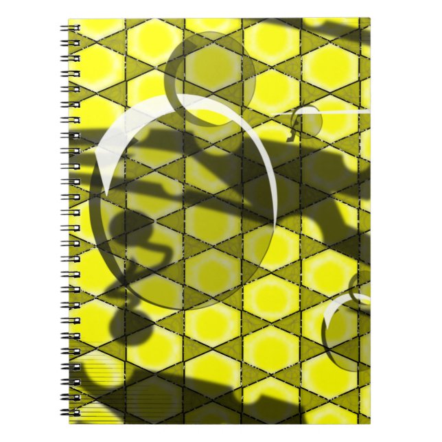 Carnet Abeille de miel de minuit 2.0 (Devant)