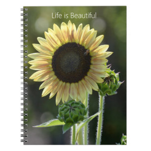 Carnet Abeille du Tournesol (ma photographie)