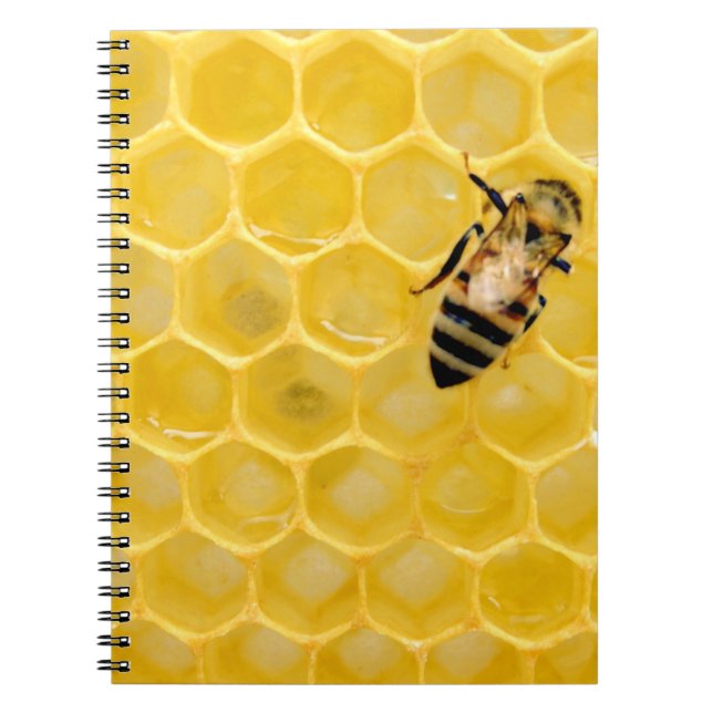 Carnet abeille et nid d'abeille (Devant)
