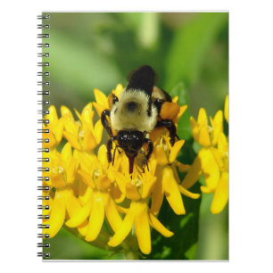 Carnet Abeille se régalant de fleurs sauvages d'Asclépiad