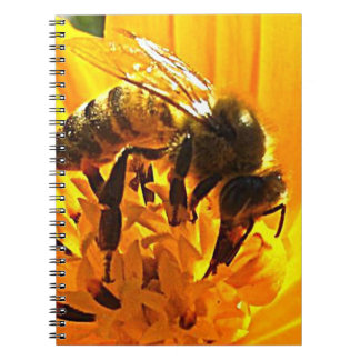 Carnet Abeille sur une fleur