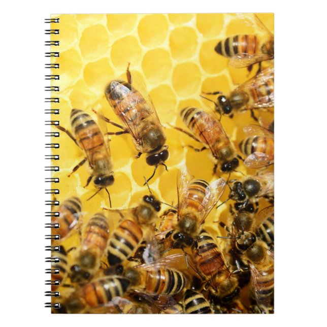 Carnet Abeilles de miel sur le peigne de miel (Devant)