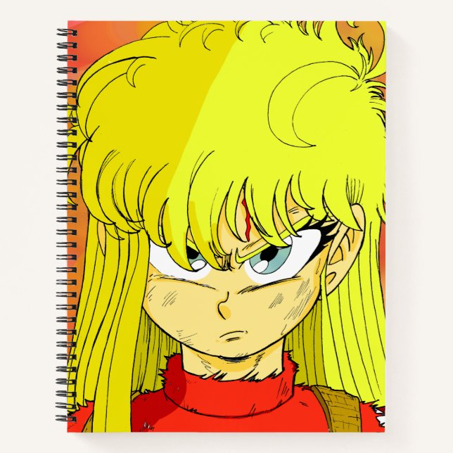 Carnet Abramova (bmc) de Carol (Devant)