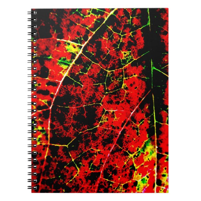 Carnet Abstrait rouge (Devant)