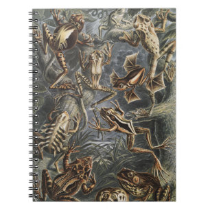 Carnet Academia Sombre Impression de la nature de grenoui