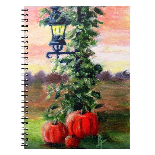 Carnet Aceo de chute (Devant)