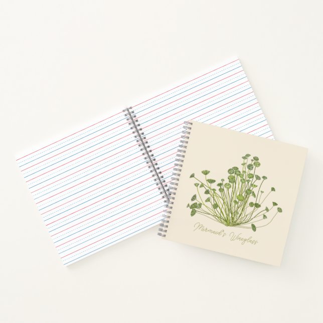 Carnet Acetabularia dessinée à la main (Intérieur)