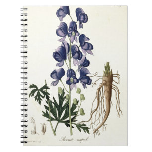 Carnet Aconitum Napellus de "Phytographie Medicale" par