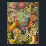 Carnet Actinae Ocean Life d'Ernst Haeckel<br><div class="desc">Illustration vintage de l'océan par le biologiste allemand Ernst Haeckel</div>