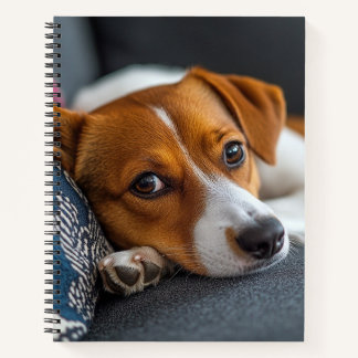 Carnet Adadorable Resting Dog Notebook