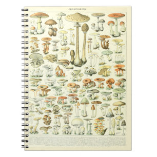 Carnet Adolphe Millot Notebook Mushrooms Pattern