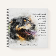 Adopter un animal domestique - Chien de Montagne B