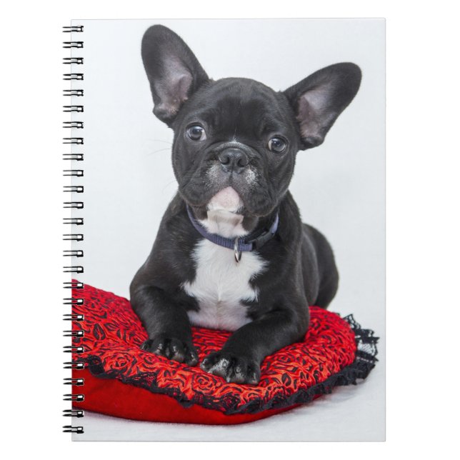 Carnet Adorable Black and White Bulldog Puppy Photo (Devant)
