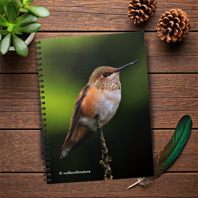 Carnet Adorable colibri roux à la branche (Rufous Hummingbird Poses on the Hybrid Fruit Tree Journal Cover Photo 2)