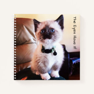 Carnet Adorable Masqué bleu teint Siamese Kitten Photo