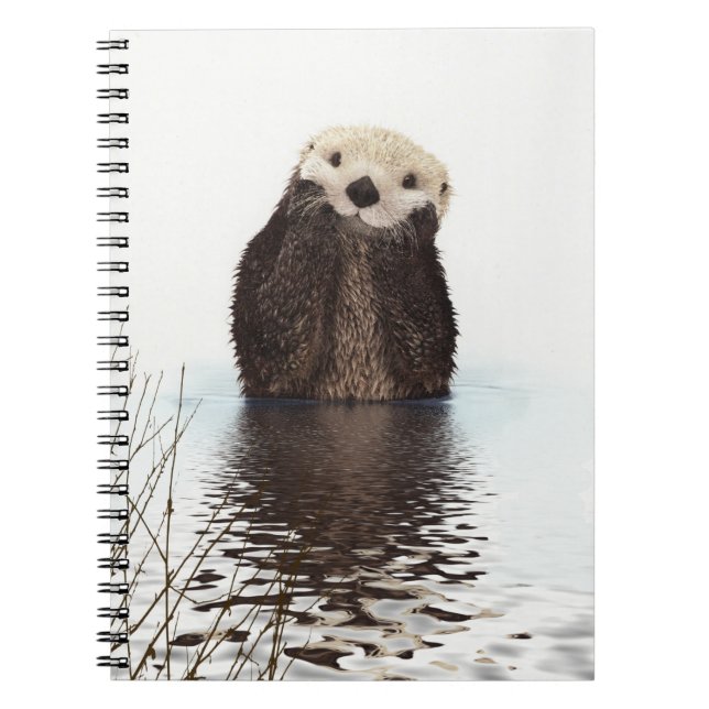 Carnet Adorable Otter souriant dans le lac (Devant)
