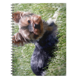 Carnet Adorable Yorkie Produits multiples sélectionnés