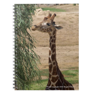 Carnet affamé de girafe