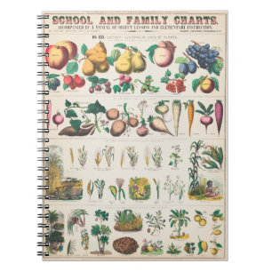 Carnet Affiche botanique de légumes