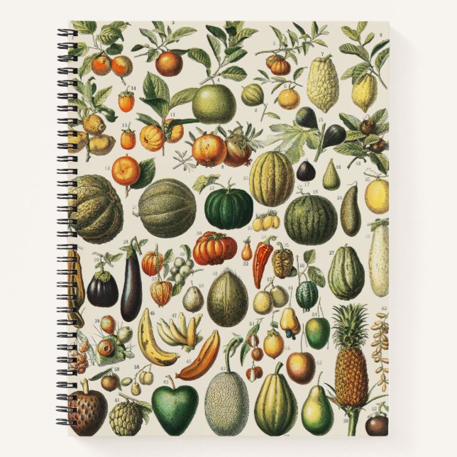 Carnet Affiches de fruits botaniques français vintage (Devant)