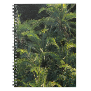 Carnet Afrique, Zambie, Parc national de Mosi-Oa-Tunya,