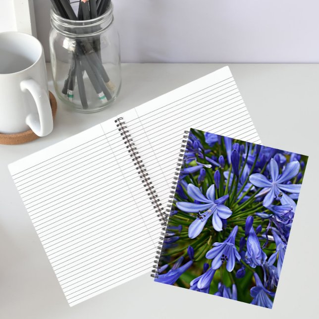 Carnet Agapanthus Fleur Bleue du Nil Floral (In Situ)