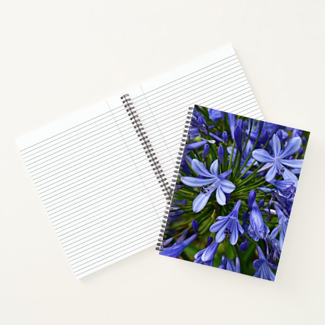 Carnet Agapanthus Fleur Bleue du Nil Floral (Intérieur)