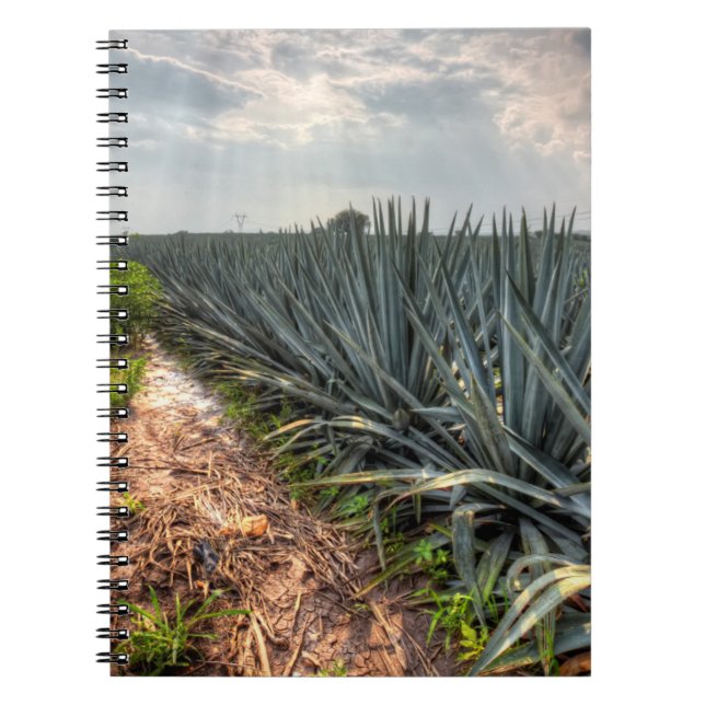 Carnet Agave Tequilana (Devant)
