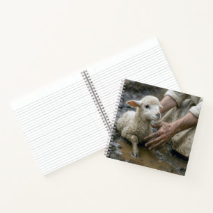 Carnet Agneau secouru par un berger