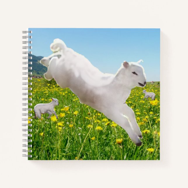 Carnet Agneaux Pâques sautant ludiques   (Devant)