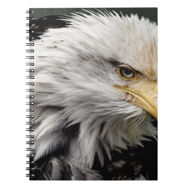 CARNET AIGLE (Devant)
