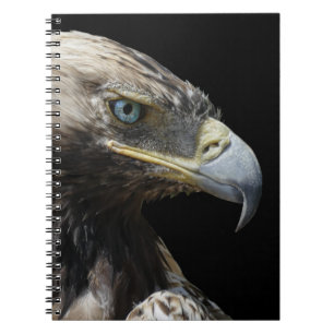 Carnet Aigle