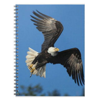 Carnet Aigle