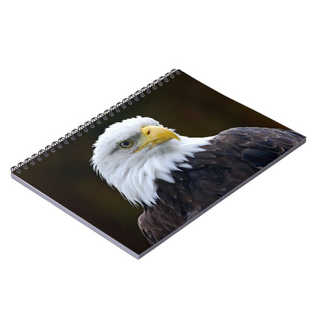 Carnet Aigle à tête blanche américaine (Côté gauche)