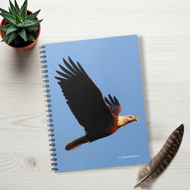 Carnet Aigle Bald à couper le souffle en vol du coucher d (Breathtaking Bald Eagle in Winter Sunset Flight Journal Cover Photo)