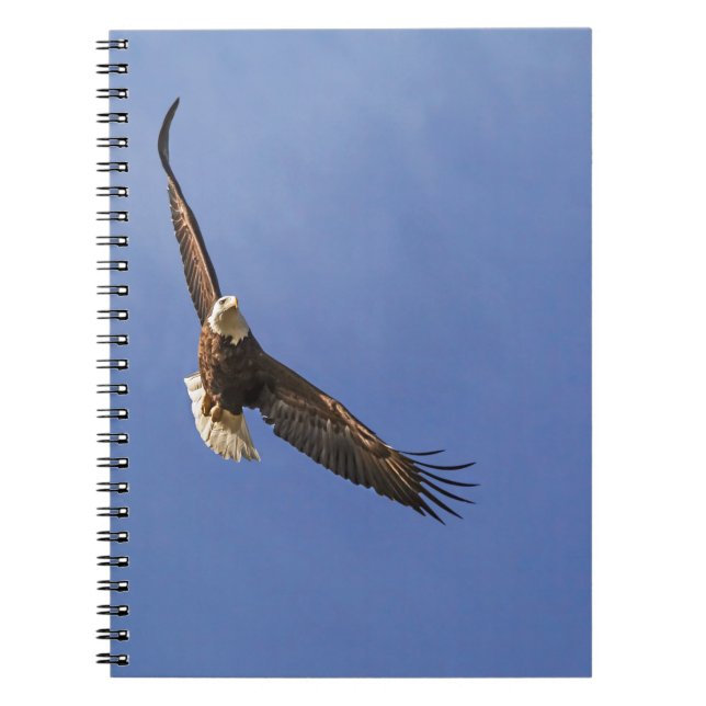 Carnet Aigle chauve (Devant)