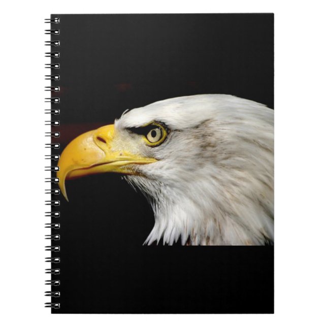 Carnet Aigle de Bald (Devant)