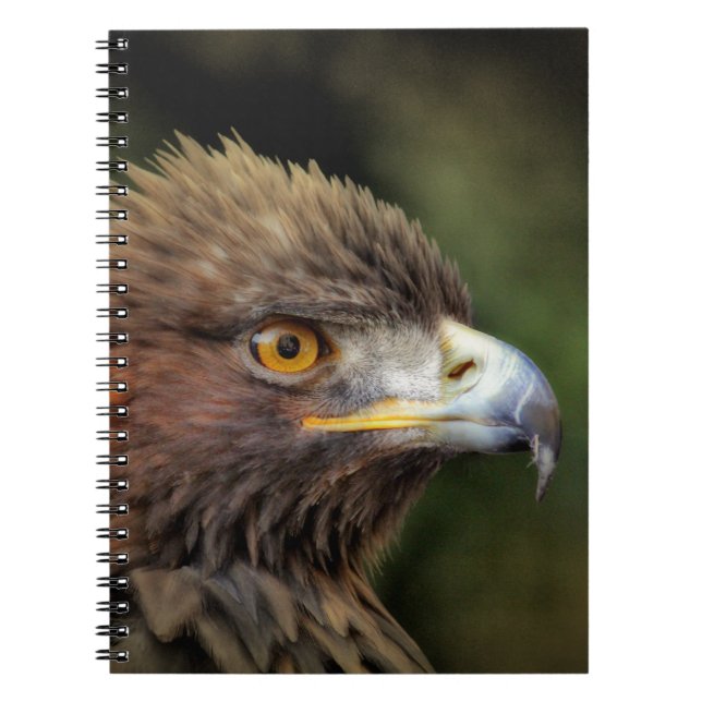 Carnet aigle royal (Devant)