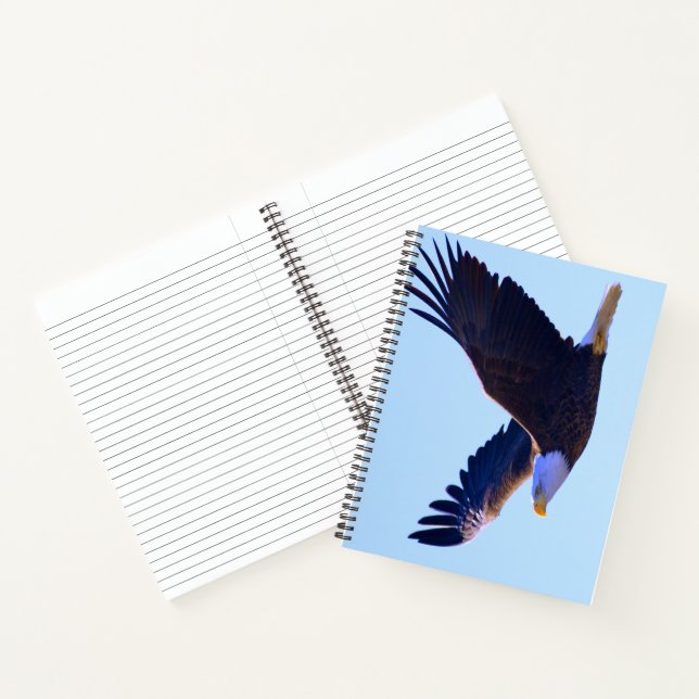 Carnet Aigle volant (Intérieur)