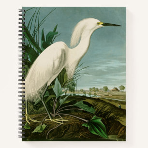 Carnet Aigrette neigeuse d'Audubon oiseau de rivage
