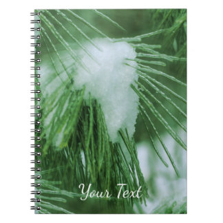 Carnet Aiguilles De Pins En Hiver De Neige Et De Glace