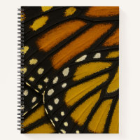 Aile de papillon monarque orange et jaune Mariposa