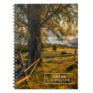 Carnet Ajoutez votre nom   L'aube triste dans une forêt