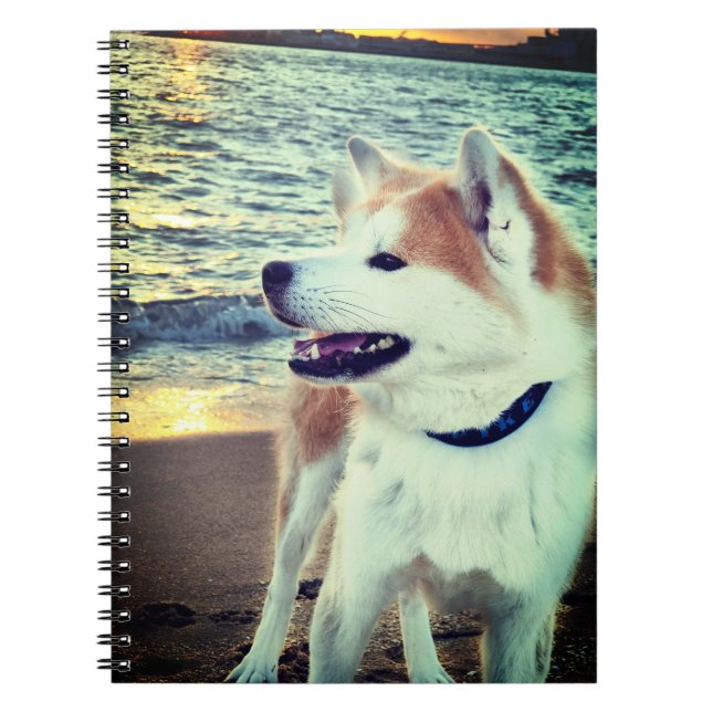 Carnet Akita (Devant)