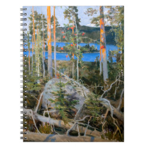 Carnet Akseli Gallen-Kallela - Lac dans le désert